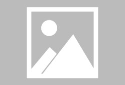 开云-出色发挥引发热议！，大坂直美在独行侠比赛中战术调整再创辉煌时刻的简单介绍